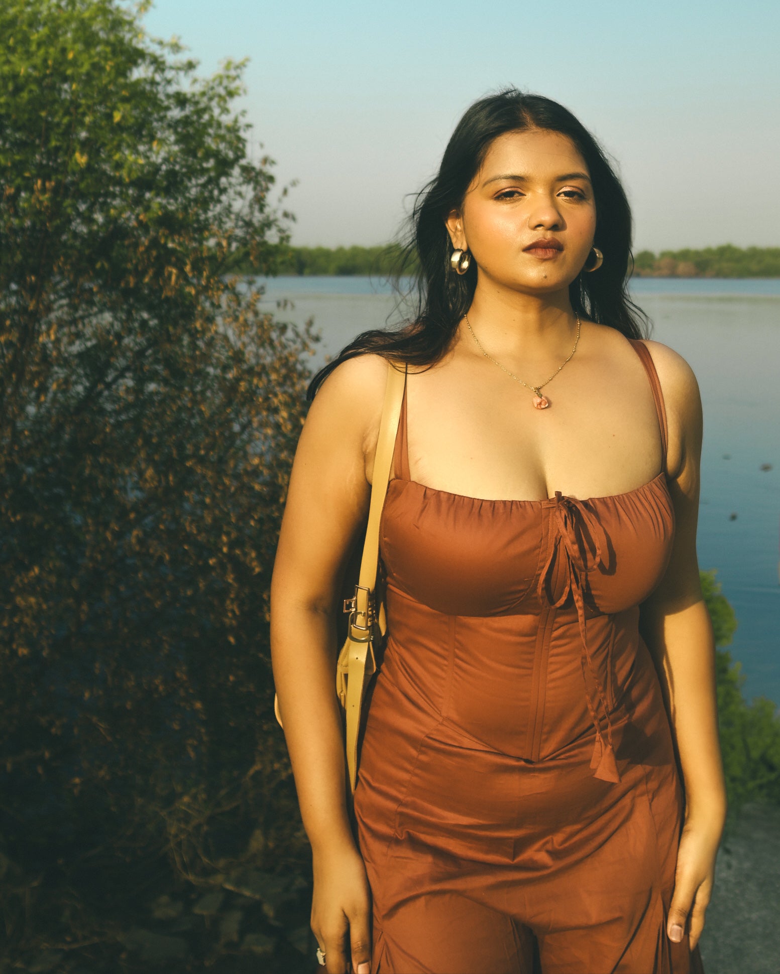 Coffee Brown Corset Dress